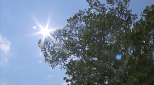 Connecticut Activates Heat Protocol