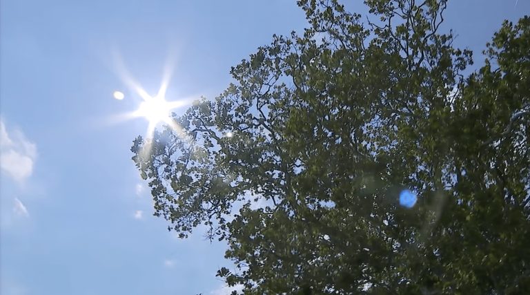 Connecticut Activates Heat Protocol
