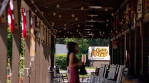Cracker Barrel Rebounds