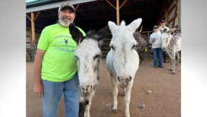 Cripple Creek Celebrates Donkeys