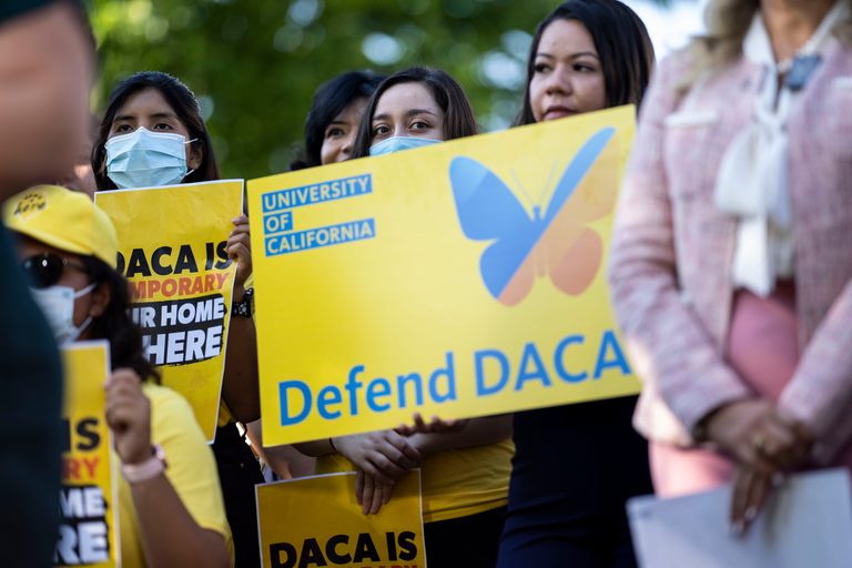 Daca Renewal Delays