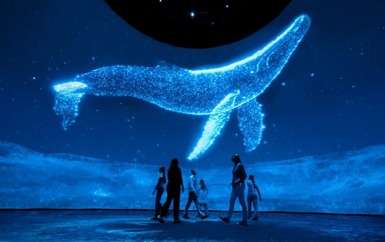 Dal Dome Debuts Immersive Surreal Nature