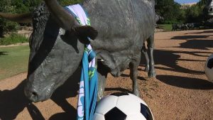 Dallas Prepares For World Cup