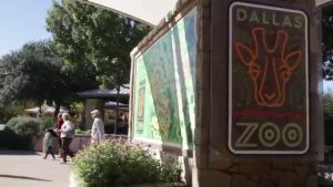 Dallas Zoo Offers 1 Admission