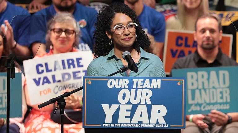 Dem Strategist Socialist Candidates Parasites