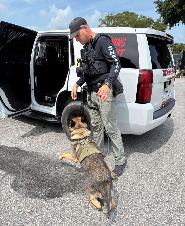 Deputy K 9 Narrowly Avoid Injury In Crash