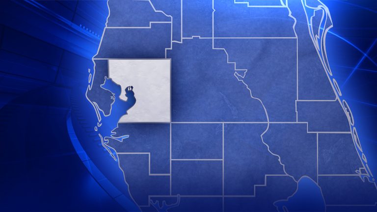Deputy S Vehicle Hits Pedestrian In Hillsborough County