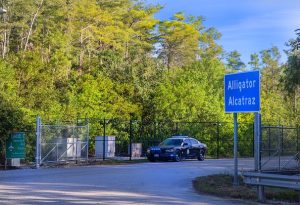 Detainees Moved From Alligator Alcatraz
