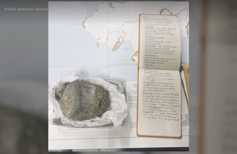 Dinosaur Fossil Found In Antarctica