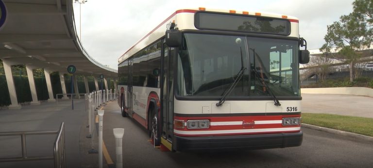Disney Springs Changes Transportation Rules