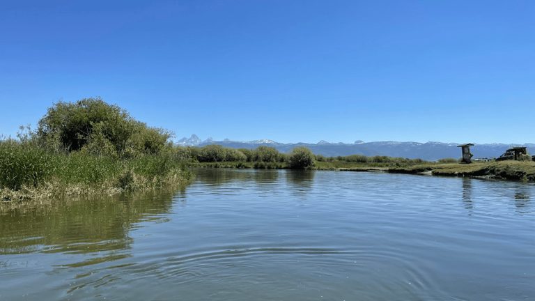 Dog Drowns In Teton River Accident