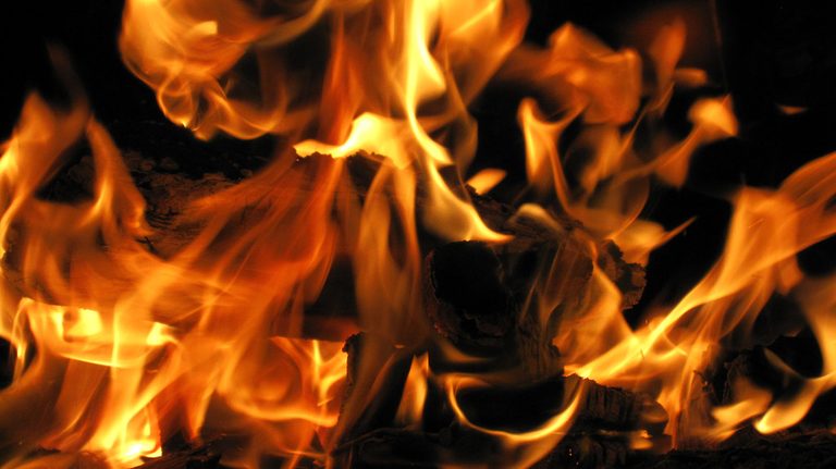 Dog Starts Kitchen Fire In Fort Wayne Home