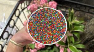 Dot Cakes Craze Hits New York