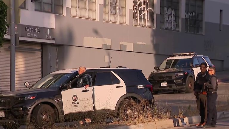 Downtown La Storage Facility Burglary