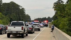 Driver Arrested After Chase