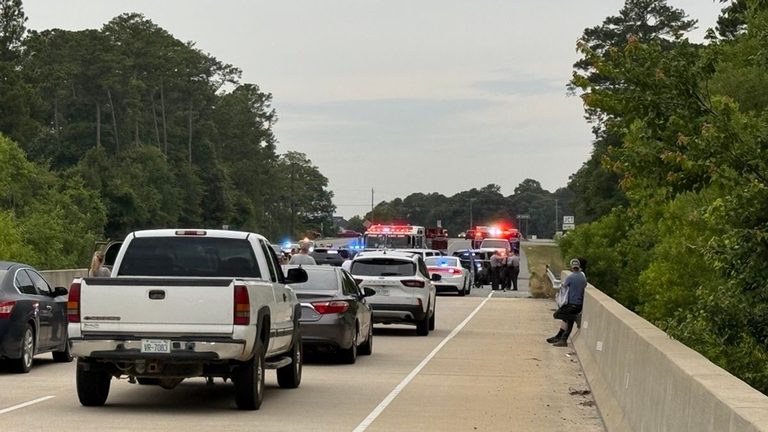 Driver Arrested After Chase