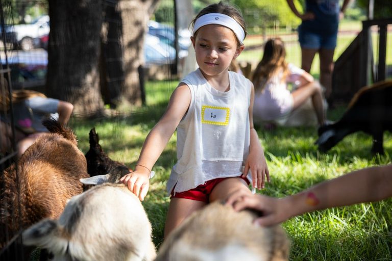 Dubb Palz Petting Zoo