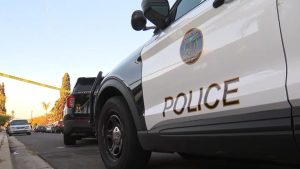 E Scooter Rider Dies In Crash