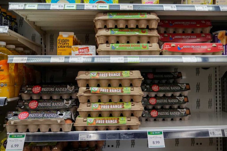 Egg Producers To Pay 3 3M Donate Eggs