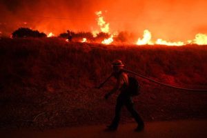 El Nino Expected To Bring Extreme Weather