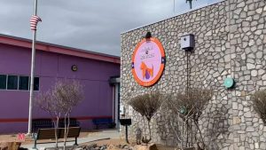 El Paso Animal Services Sees Surge In Pets