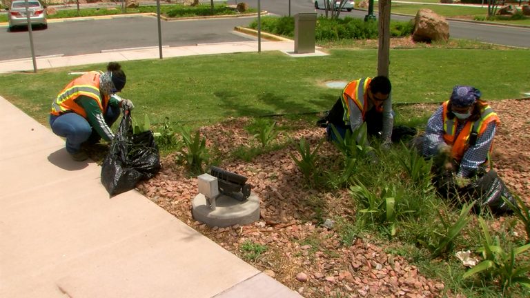 El Paso Non Profit Provides Jobs