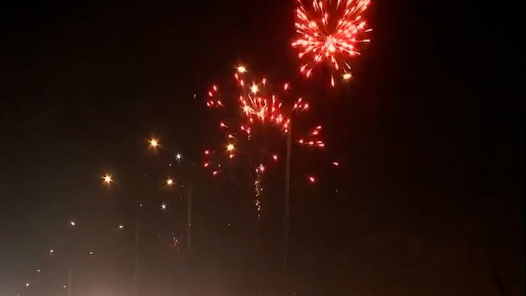 El Paso Prepares For 4Th Of July Pet Surge
