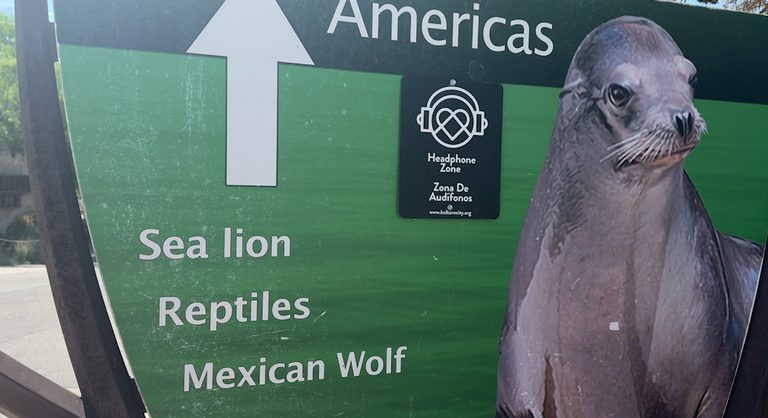 El Paso Zoo S Sea Lions Birthday Party Postponed