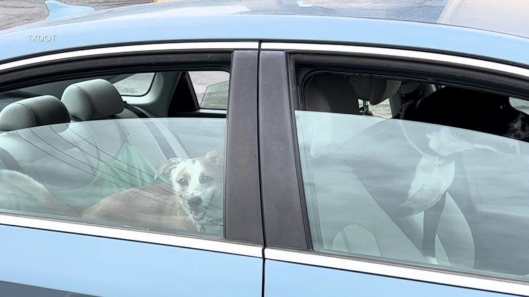 Experts Warn Against Leaving Kids Pets In Hot Cars
