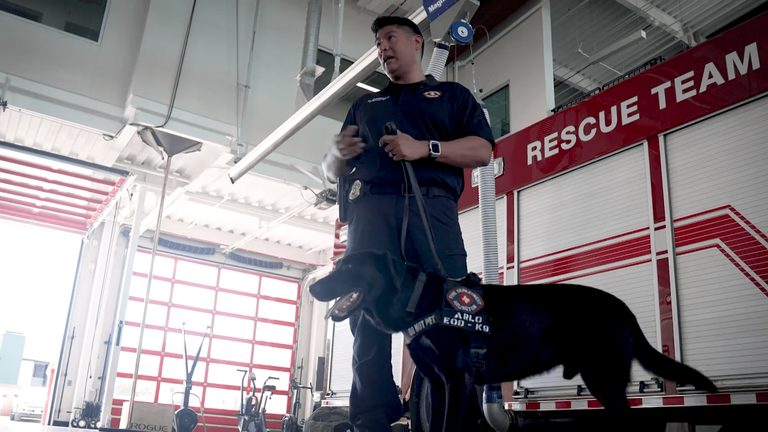 Explosive Detecting Dogs Protect World Cup Crowds