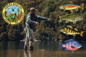 Family Friendly Fishing In Treasure Valley