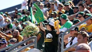 Fan S Foul Ball Fumble