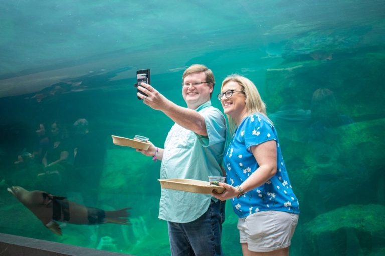 Father S Day Events In Houston