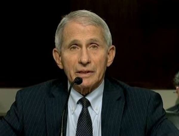 Fauci S Ties To Intelligence Community Revealed