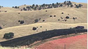Fire Crews Halt Vegetation Blaze Near Kern County At 50 Acres