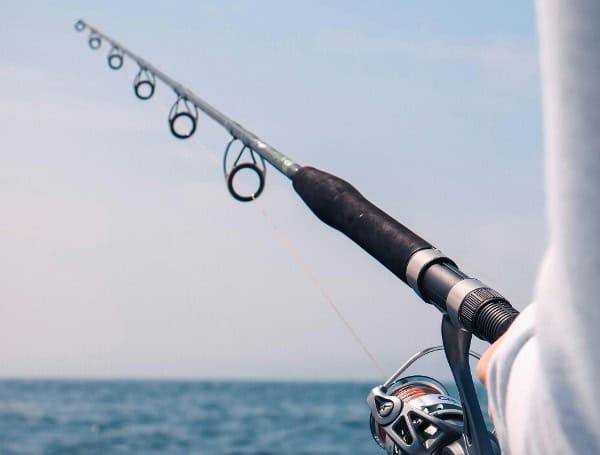 Florida Boat Captain Cited