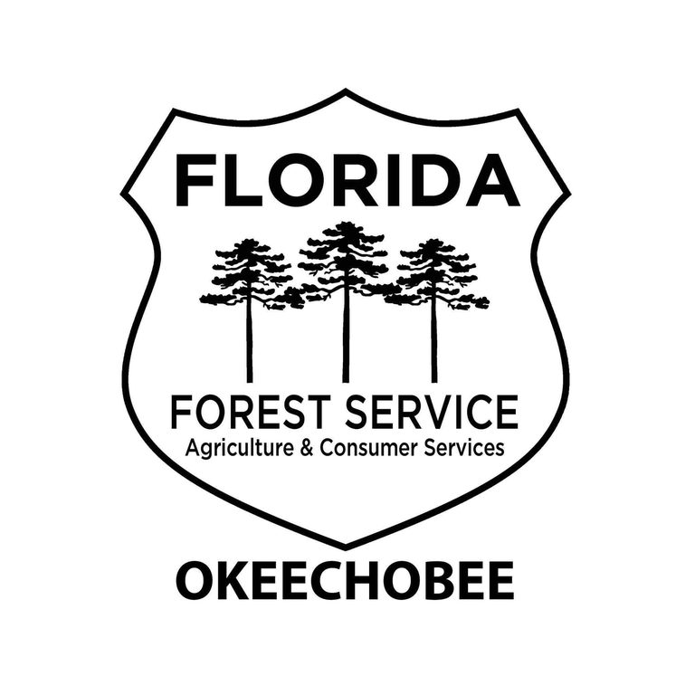 Florida Forest Service Battles 10 Acre Wildfire In Martin County