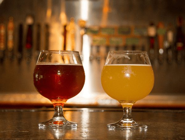Florida Grown Hops Boost Local Beer Market
