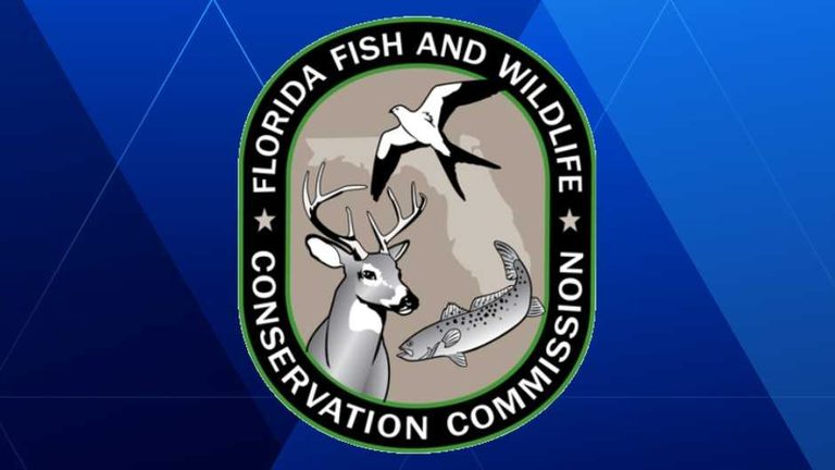 Florida Investigates Bird Deaths