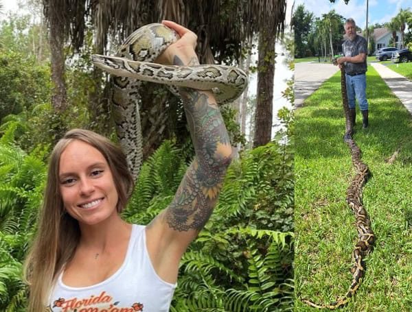 Florida Python Challenge