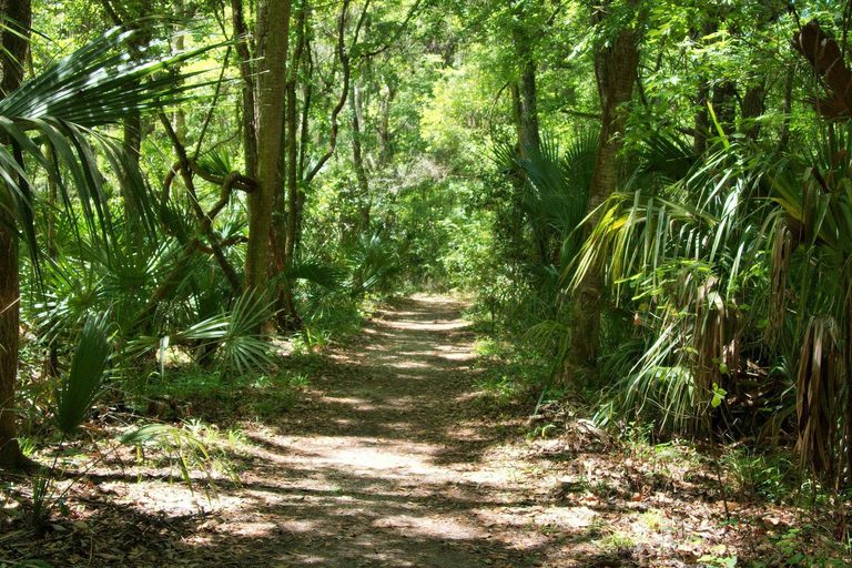 Florida State Parks Waive Admission Fees