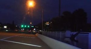 Florida Trooper Rescues Teen From Interstate Overpass