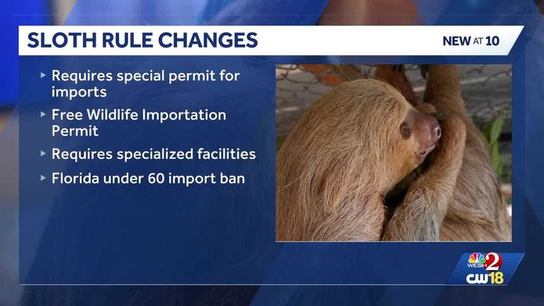 Florida Updates Sloth Ownership Rules