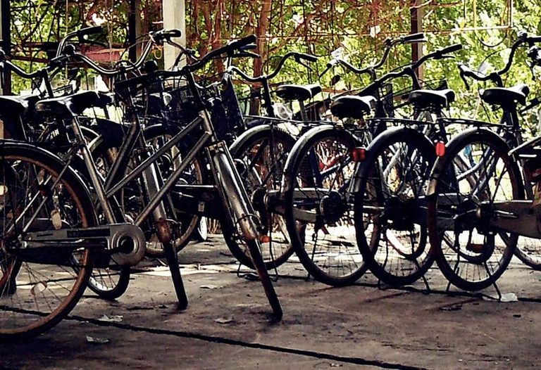Fort Wayne Offers Free Bike Safety Workshops