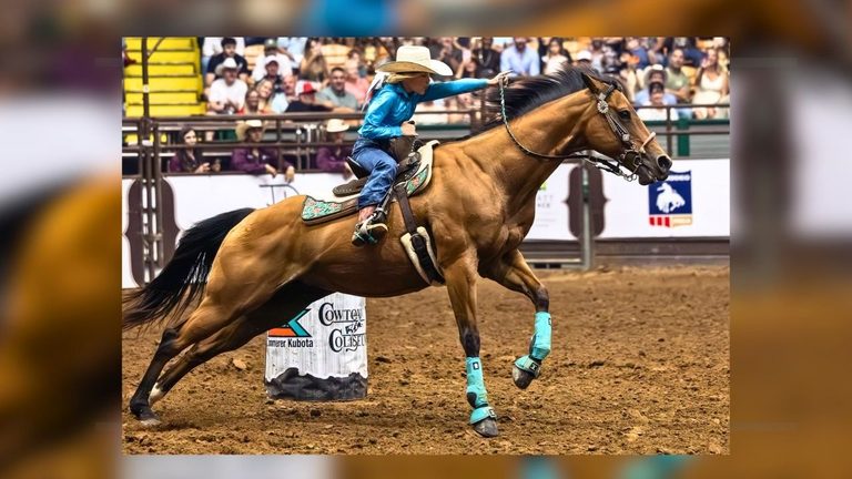 Fort Worth Stockyards Rodeo