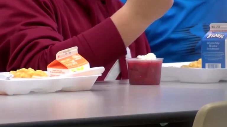 Free Summer Meals In Florida