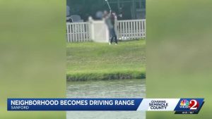 Golf Balls Fly Into Yards