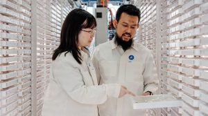 Google Seeks To Release Sterile Mosquitoes
