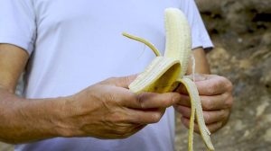 Green Bananas Offer Hidden Health Perks