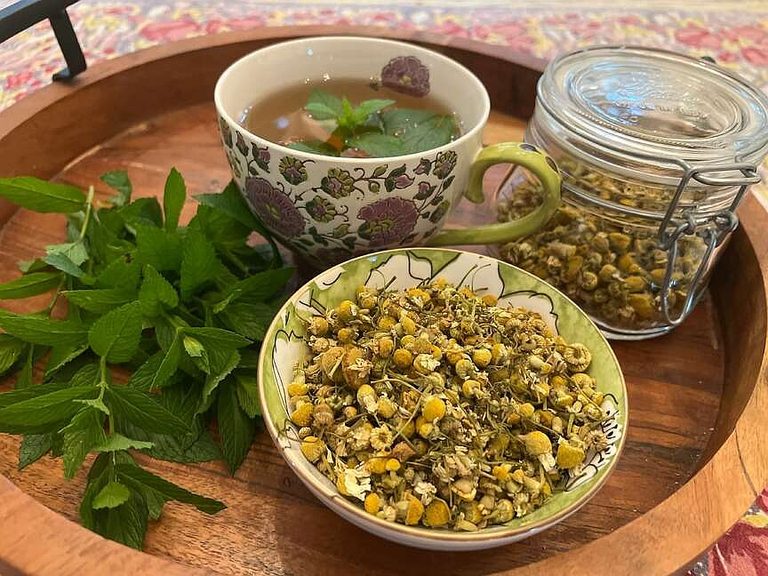 Growing Herbs For Tea In Your Garden